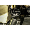 Zard 120th ANNIVERSARY LIMITED EDITION Carbon Fiber Radiator Covers, Front Fender, Side Panel, Billet Radiator Cap and Rear Suspension Knob Kit for Harley Davidson Sportster S 1250